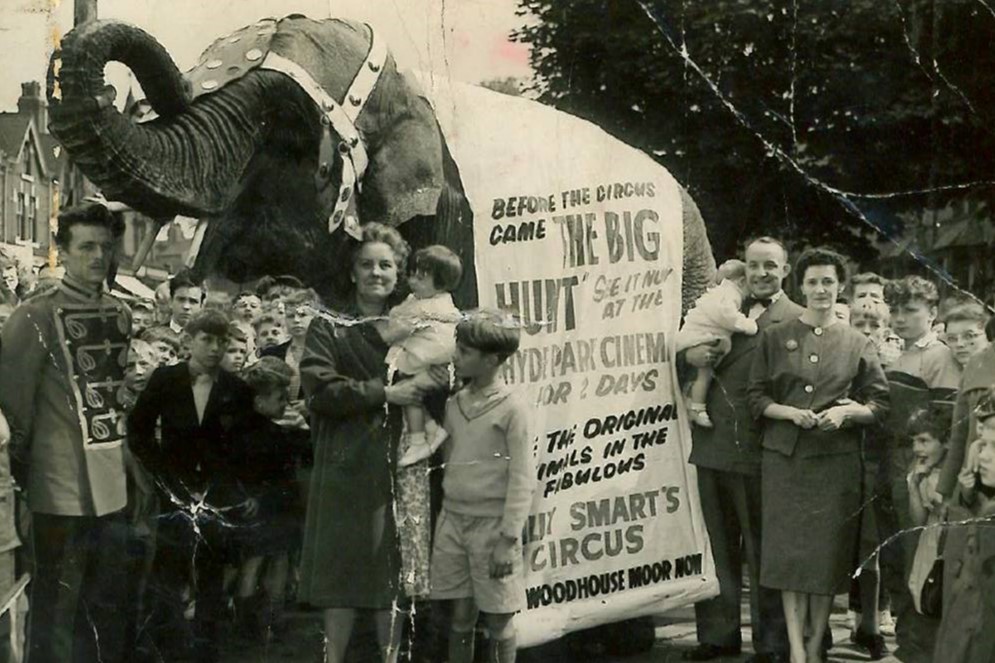 The image shows the elephant as the centre of the photo. The elephant is wearing a large piece of fabric draped over its back, the fabric advertises The Big Hunt. There are two families standing in front of the elephant smiling while a large crowd of children are behind the elephant.